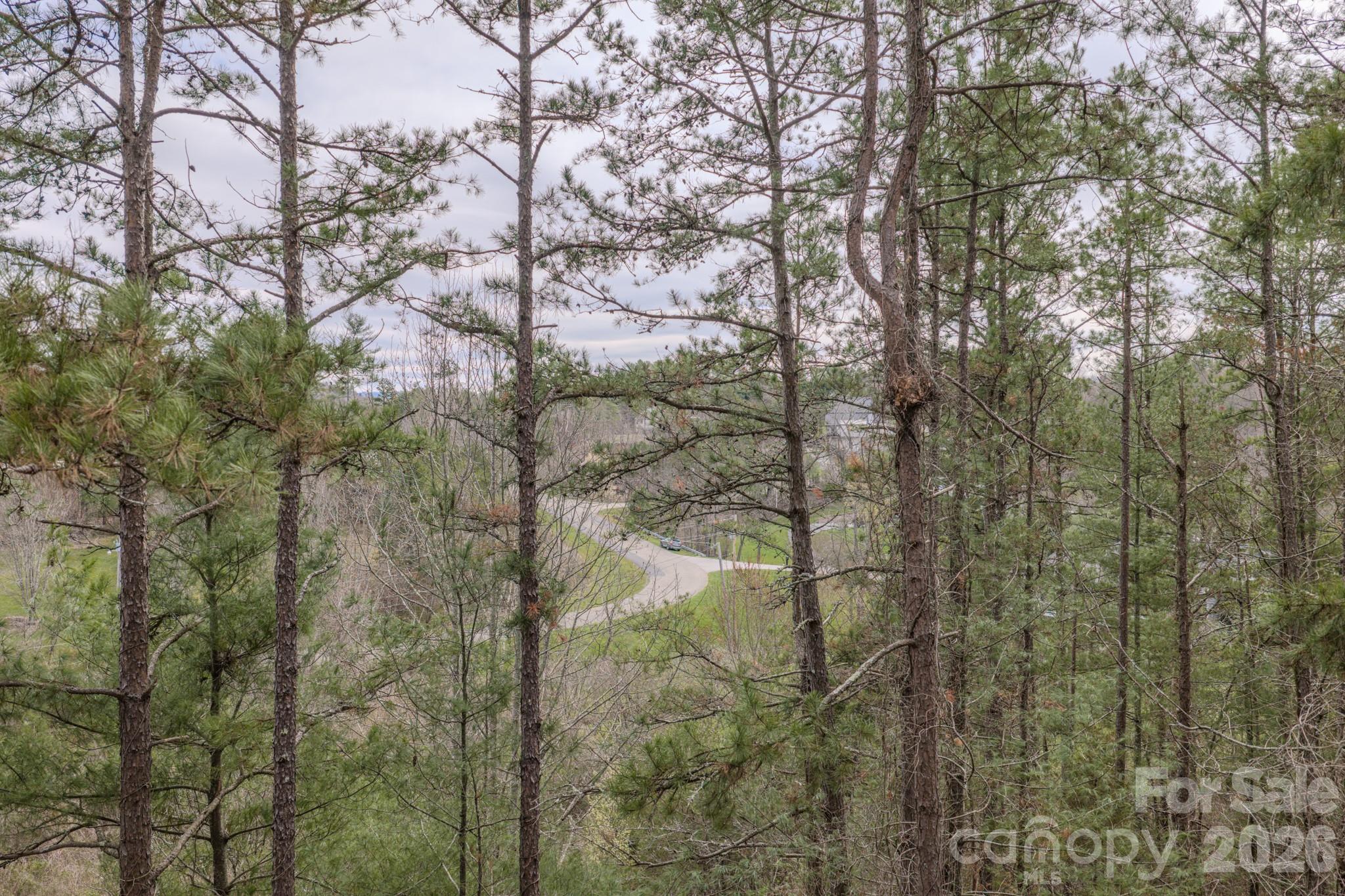 29 Sage Drive Weaverville NC 28787