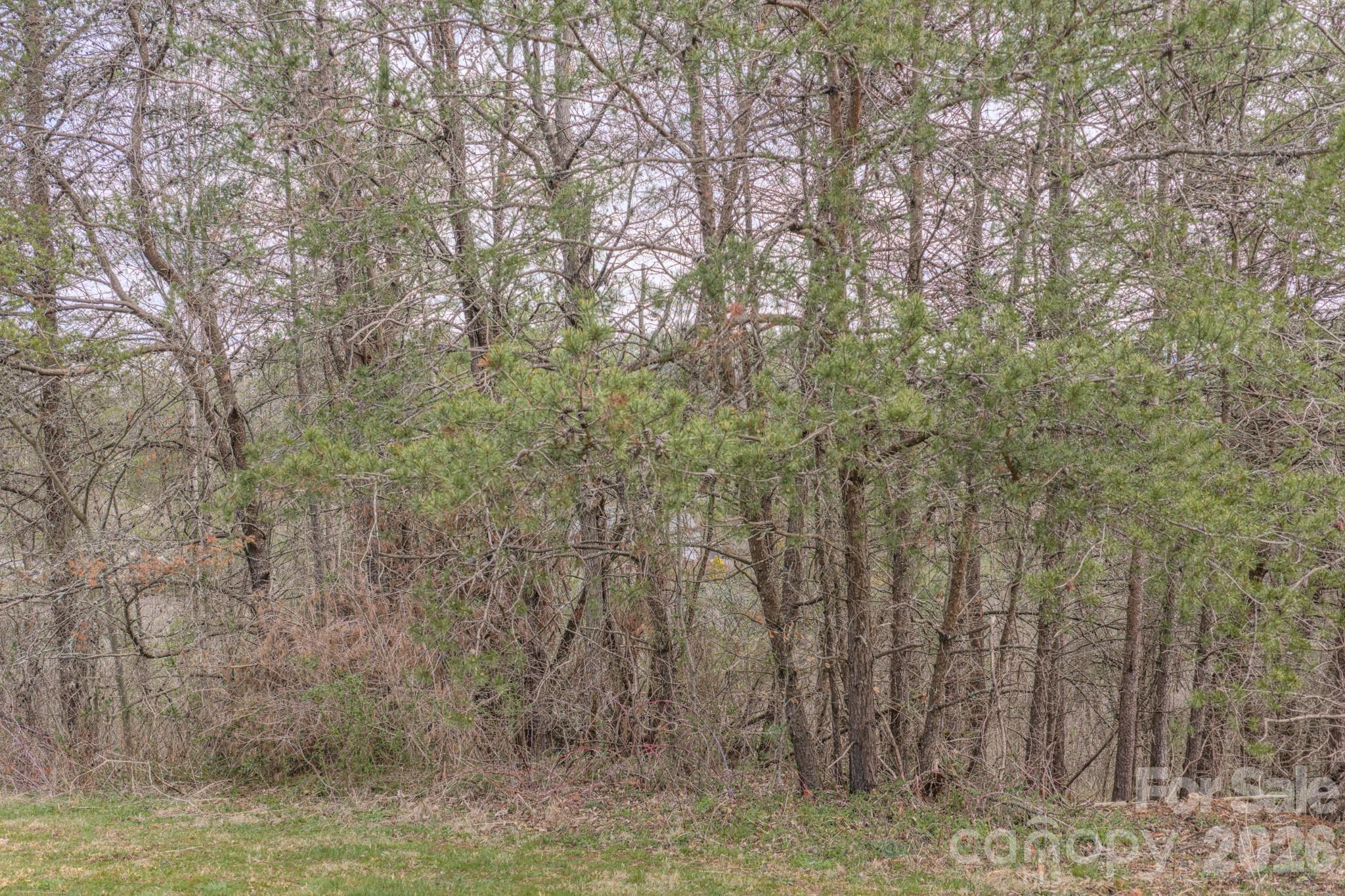 29 Sage Drive Weaverville NC 28787