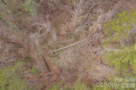 29 Sage Drive Weaverville NC 28787