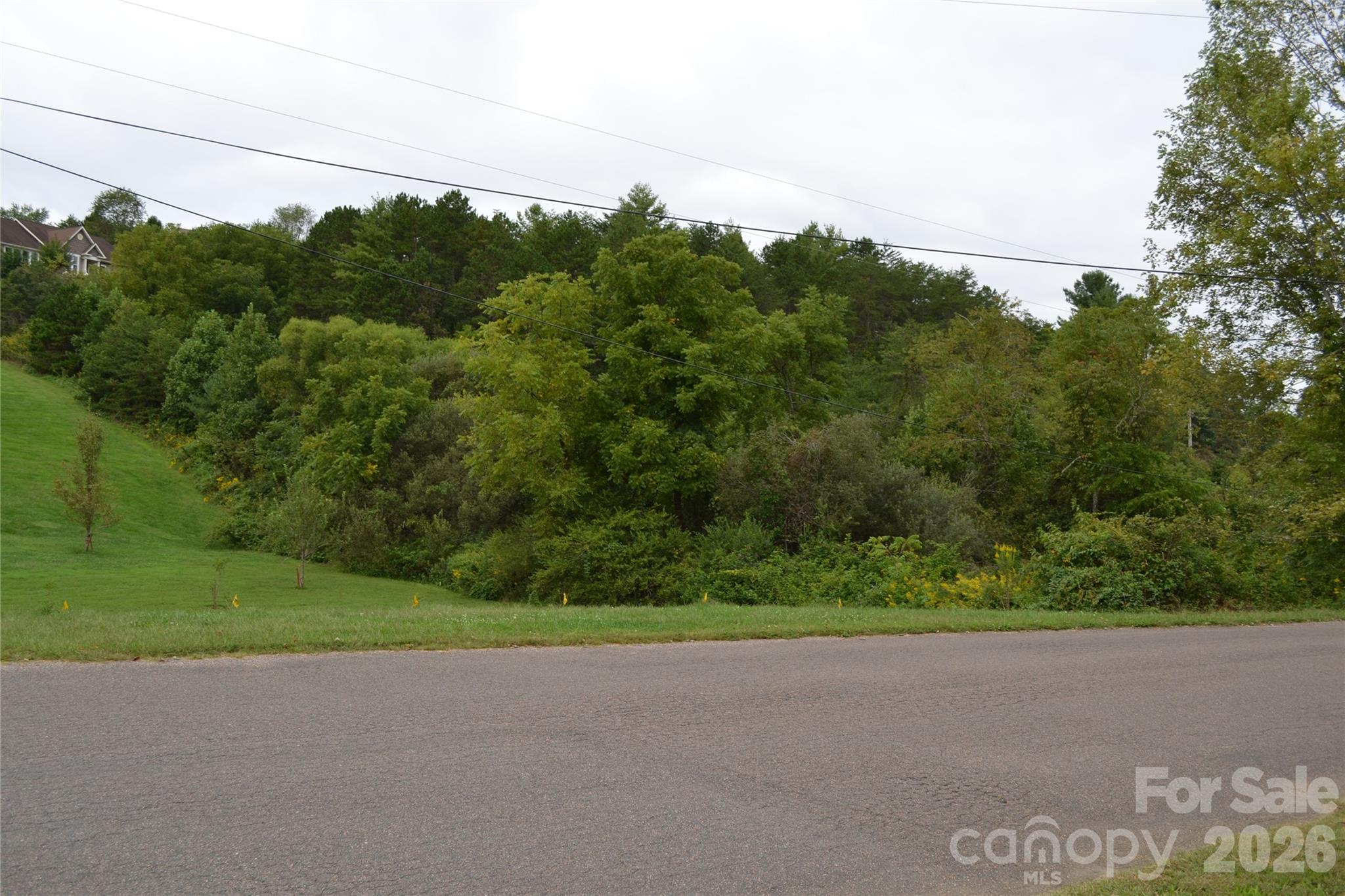 29 Sage Drive Weaverville NC 28787