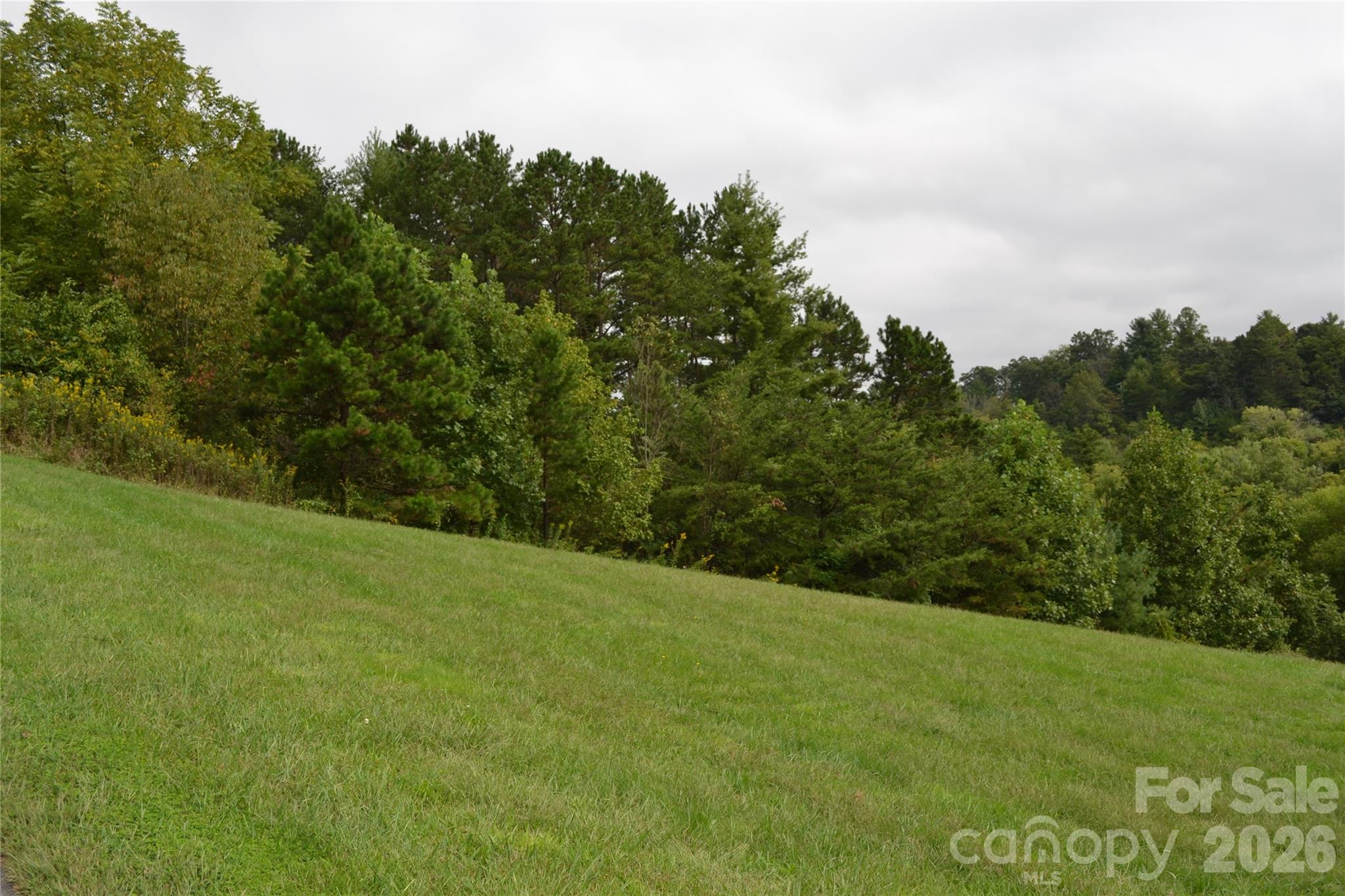 29 Sage Drive Weaverville NC 28787