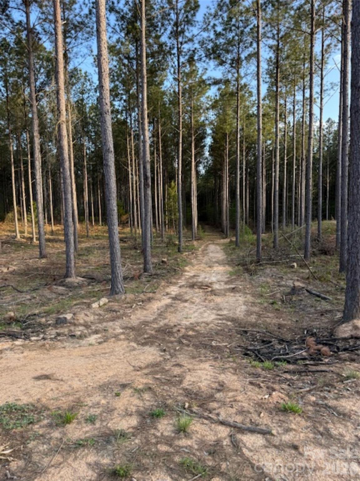 00 Clark Mountain Road Lilesville NC 28091