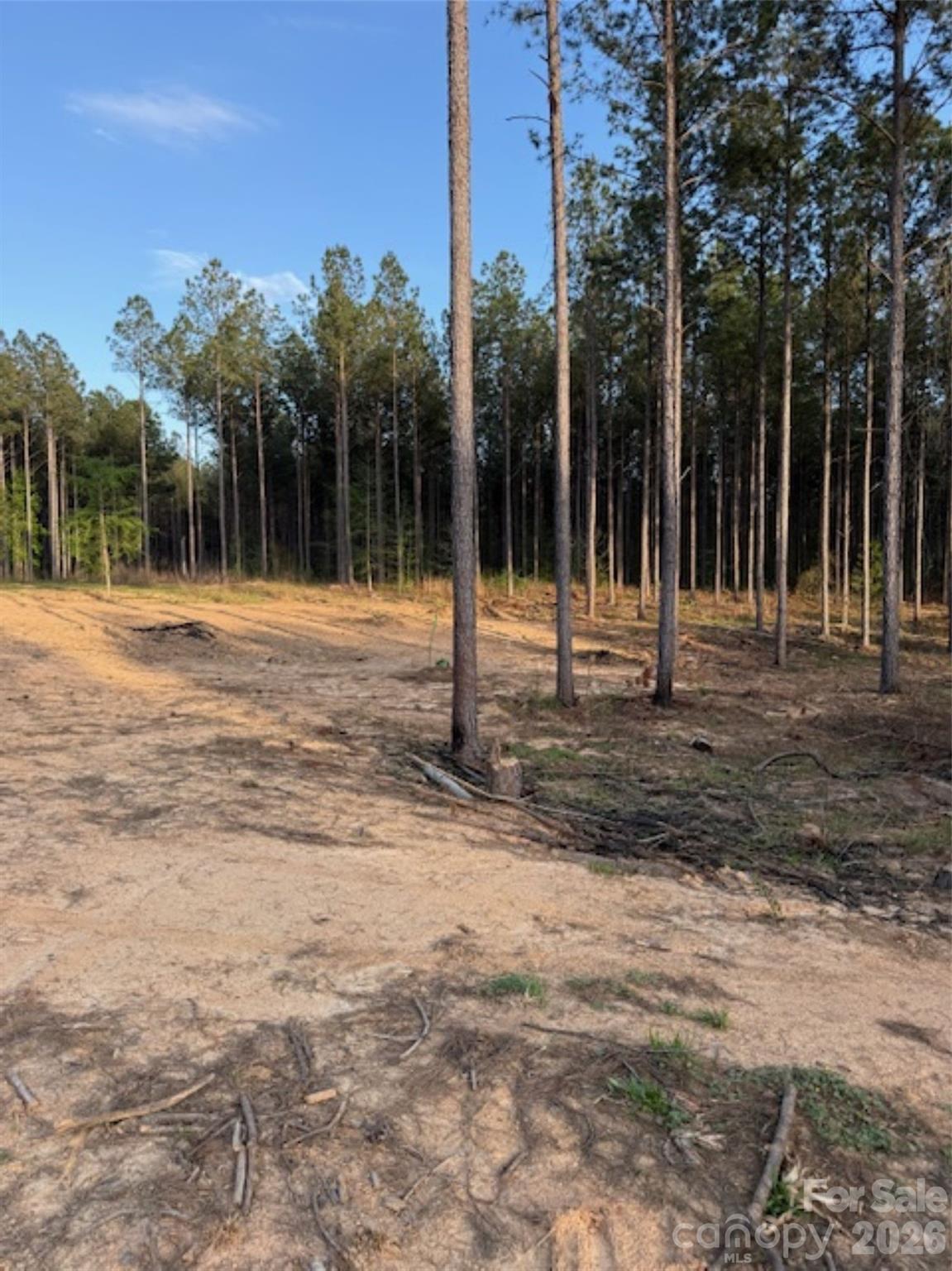 00 Clark Mountain Road Lilesville NC 28091