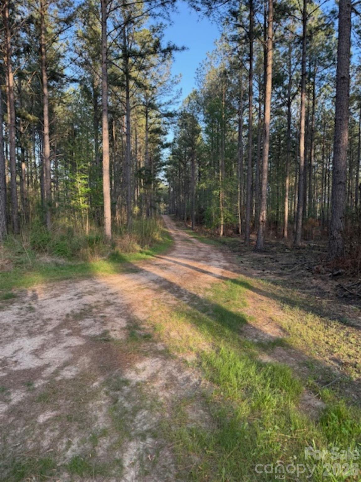 00 Clark Mountain Road Lilesville NC 28091