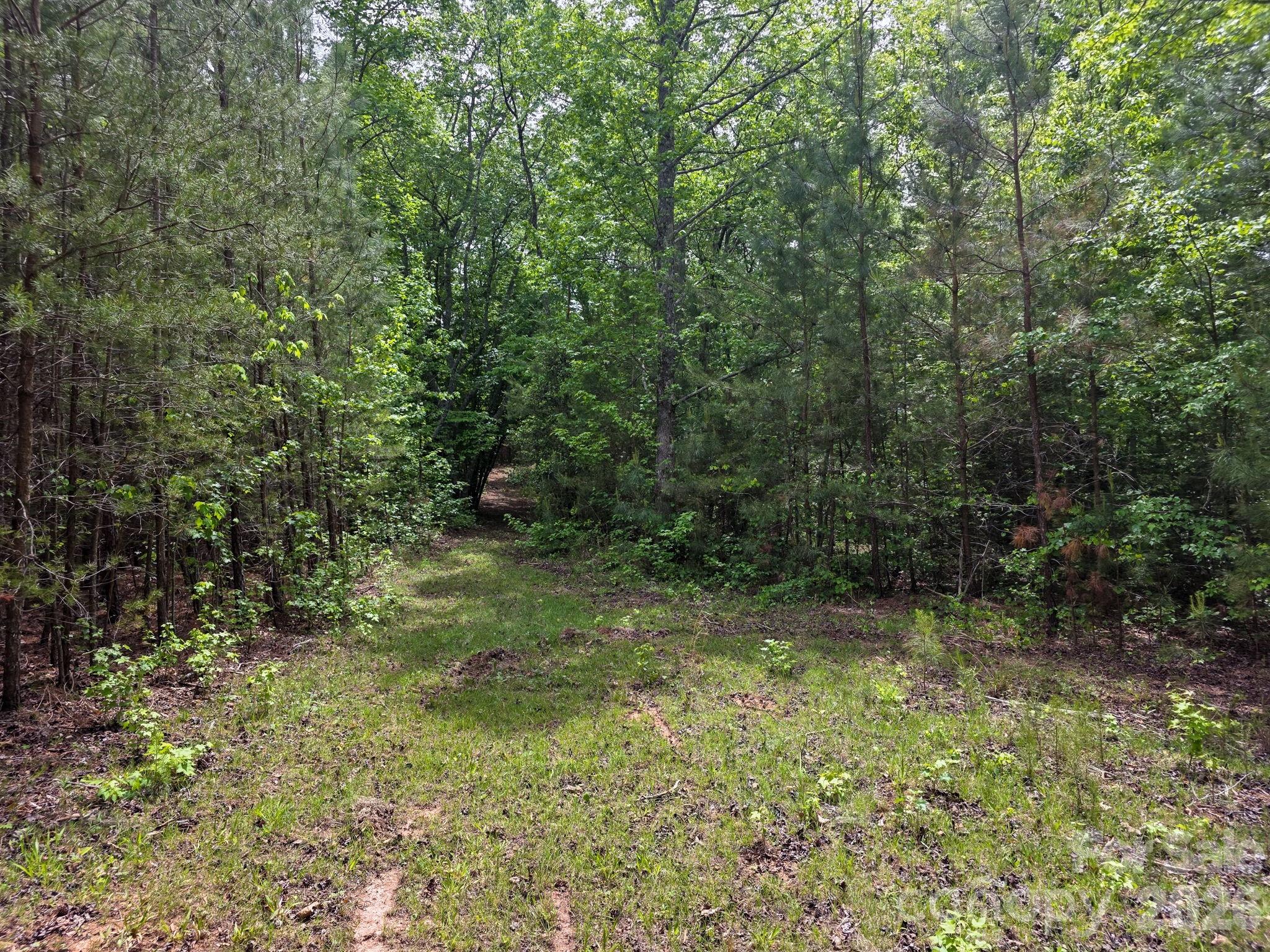 0 Romey Campbell Road Ellenboro NC 28040