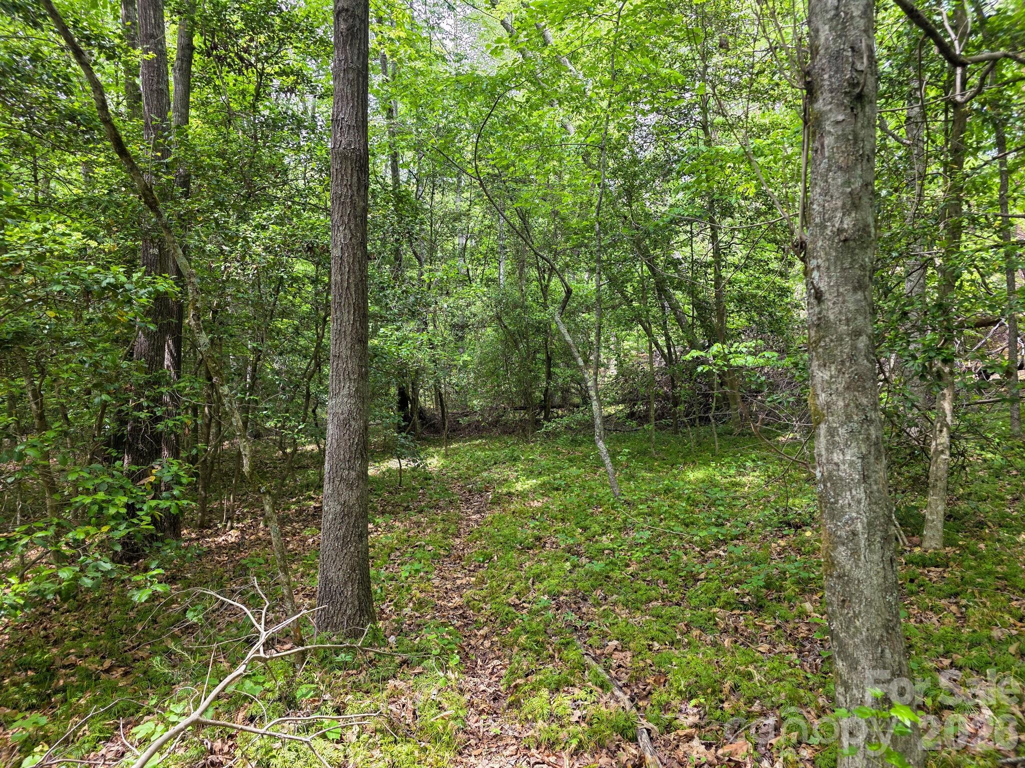 0 Romey Campbell Road Ellenboro NC 28040