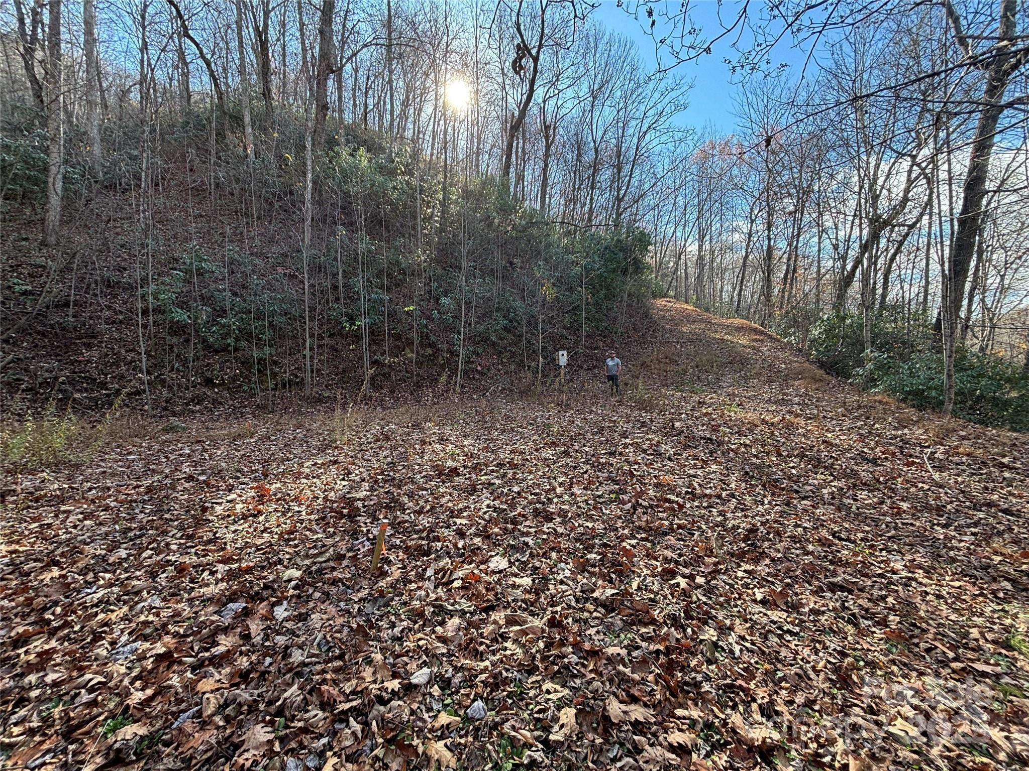 Off Houston Farm Road Bryson City NC 28713