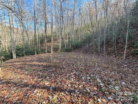 Off Houston Farm Road Bryson City NC 28713