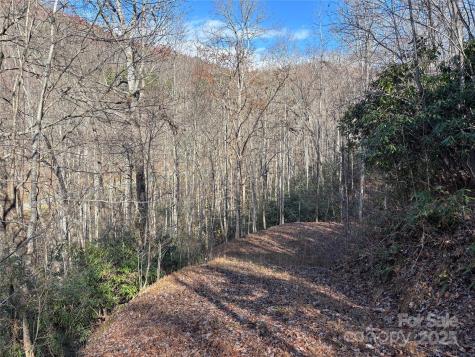 Off Houston Farm Road Bryson City NC 28713