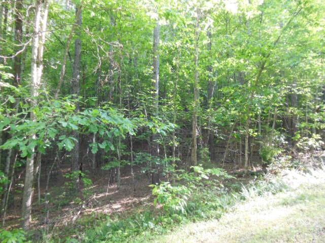 9 And 10 Grassy Knob Road Rutherfordton NC 28139