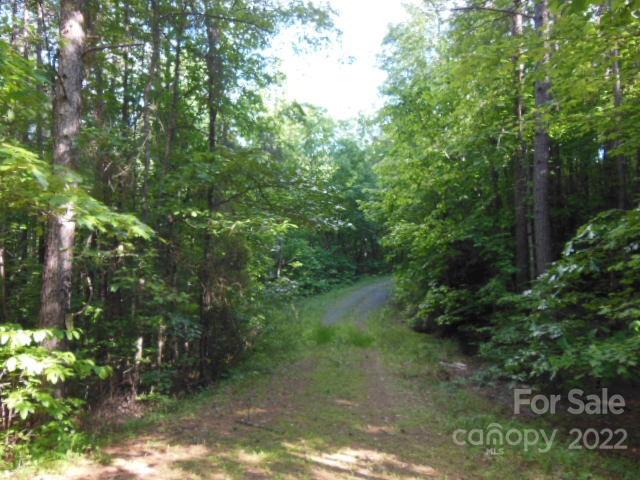 9 And 10 Grassy Knob Road Rutherfordton NC 28139