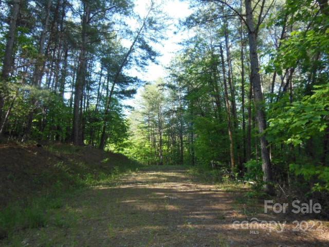 9 And 10 Grassy Knob Road Rutherfordton NC 28139