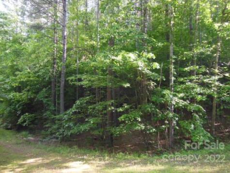 9 And 10 Grassy Knob Road Rutherfordton NC 28139