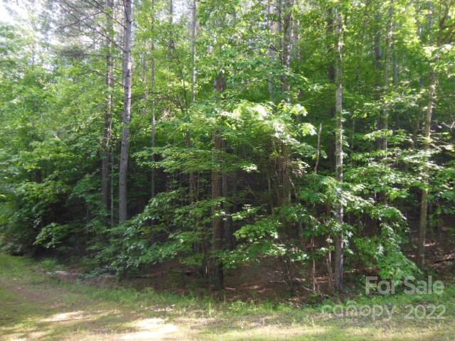 9 And 10 Grassy Knob Road Rutherfordton NC 28139
