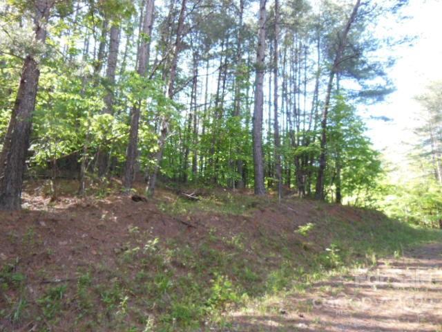 9 And 10 Grassy Knob Road Rutherfordton NC 28139