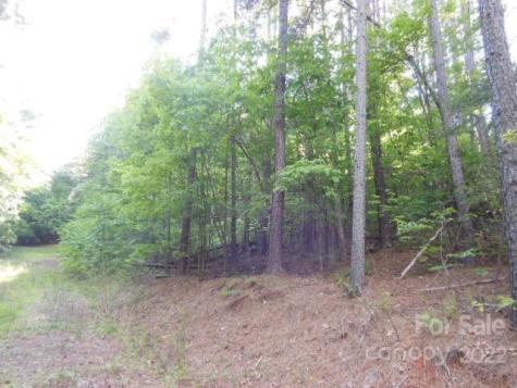 9 And 10 Grassy Knob Road Rutherfordton NC 28139