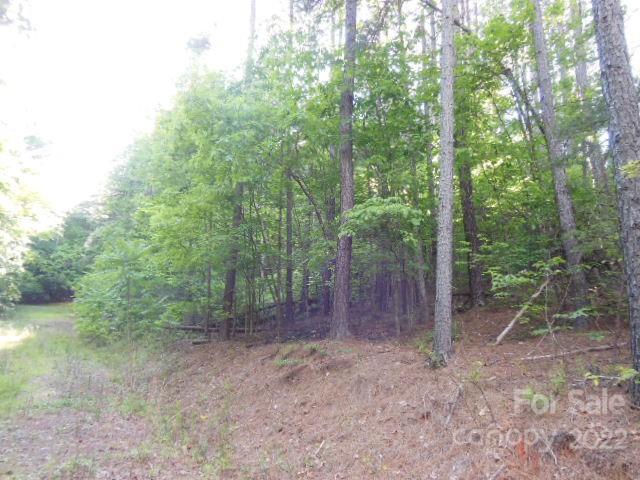 9 And 10 Grassy Knob Road Rutherfordton NC 28139