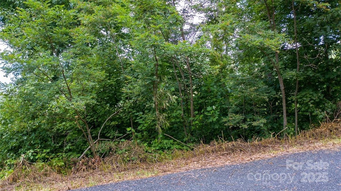 Lot 22 Spring Rock Road Burnsville NC 28714