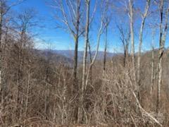 Lot 22 Spring Rock Road Burnsville NC 28714