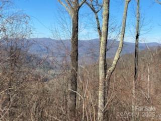 Lot 22 Spring Rock Road Burnsville NC 28714