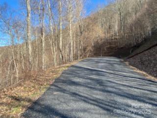 Lot 22 Spring Rock Road Burnsville NC 28714