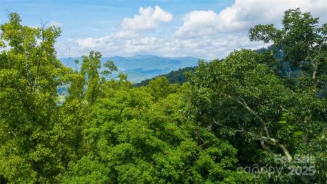 Lot 22 Spring Rock Road Burnsville NC 28714