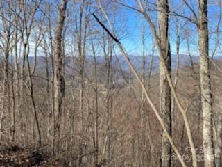 Lot 22 Spring Rock Road Burnsville NC 28714