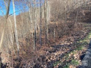 Lot 22 Spring Rock Road Burnsville NC 28714