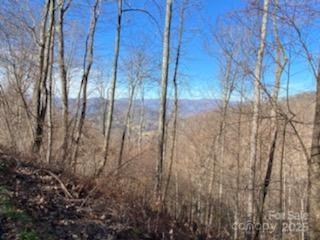 Lot 22 Spring Rock Road Burnsville NC 28714