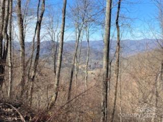 Lot 22 Spring Rock Road Burnsville NC 28714