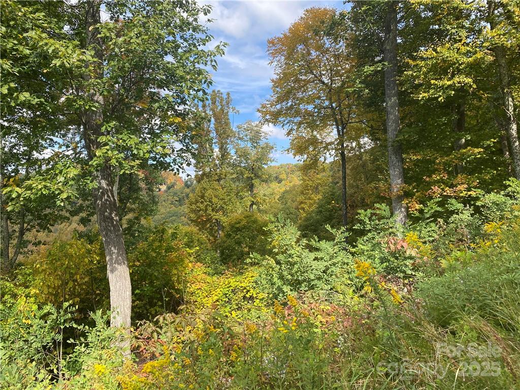 Lot 22 Spring Rock Road Burnsville NC 28714