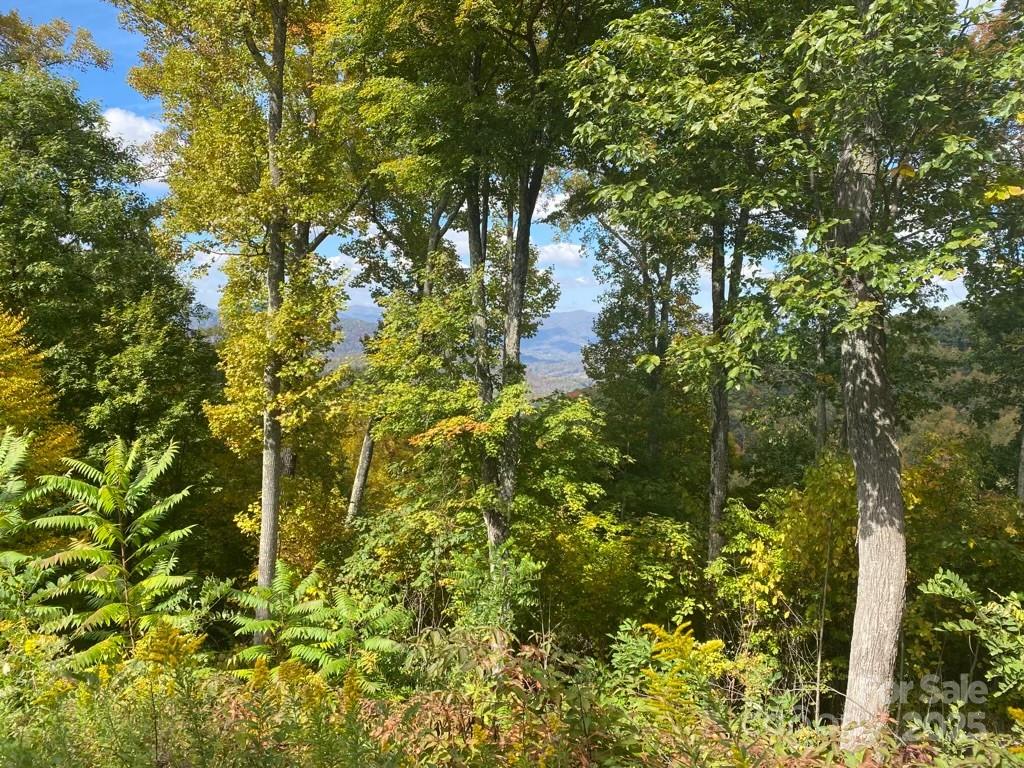 Lot 22 Spring Rock Road Burnsville NC 28714