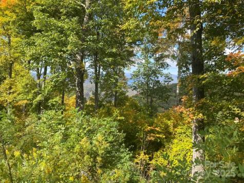 Lot 22 Spring Rock Road Burnsville NC 28714