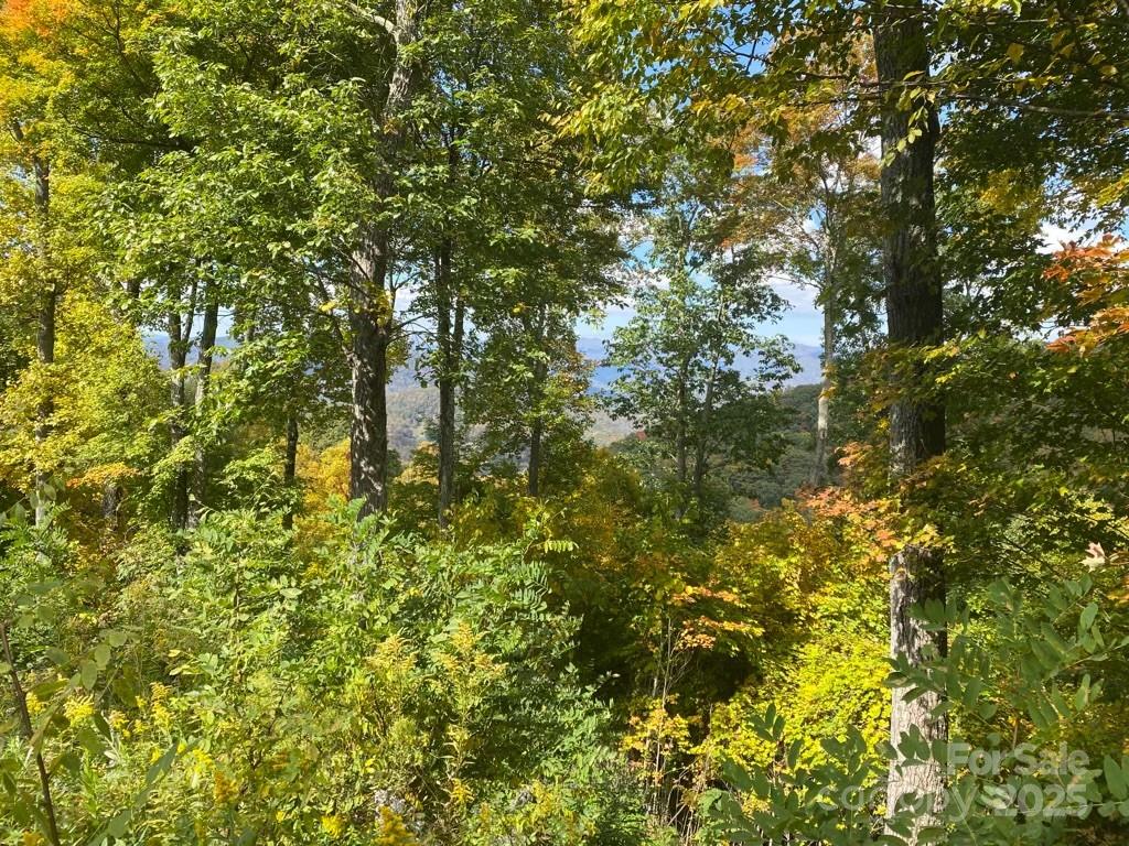 Lot 22 Spring Rock Road Burnsville NC 28714