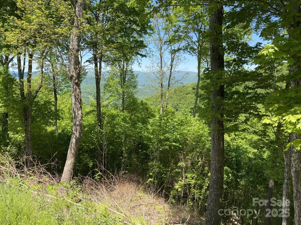 Lot 22 Spring Rock Road Burnsville NC 28714