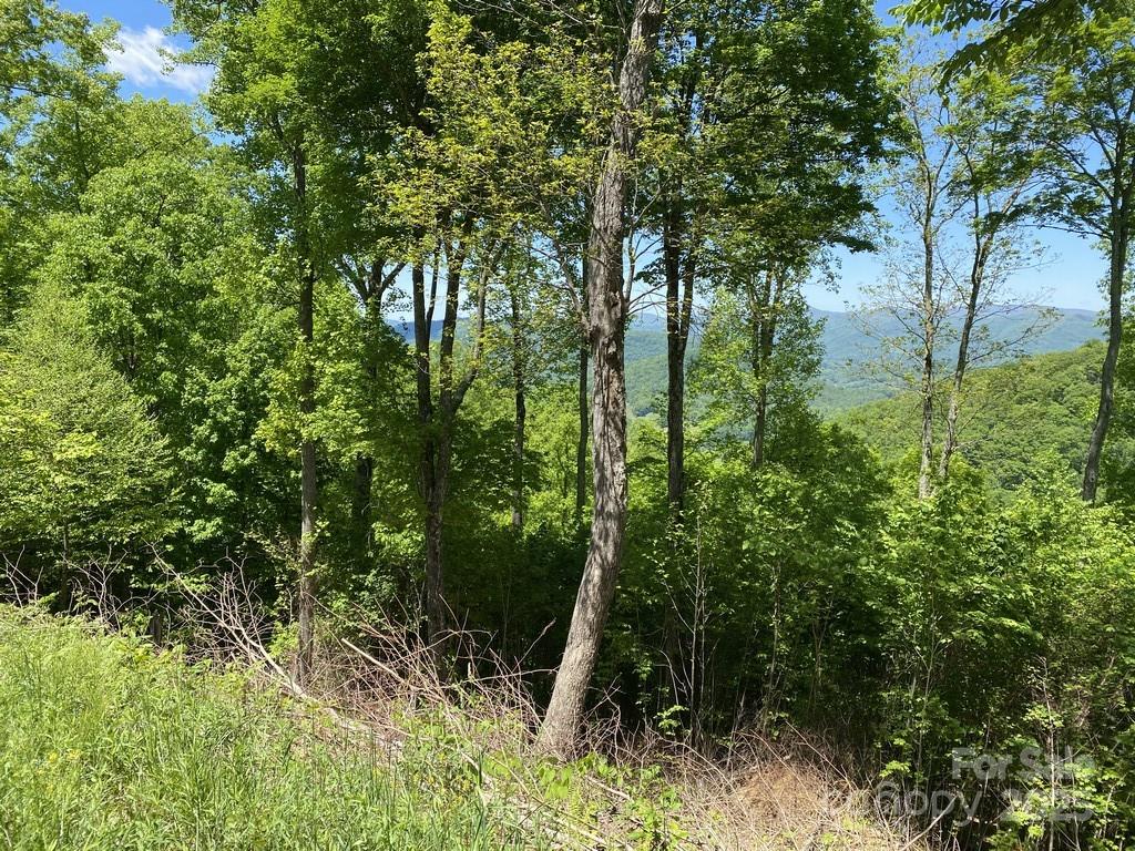 Lot 22 Spring Rock Road Burnsville NC 28714