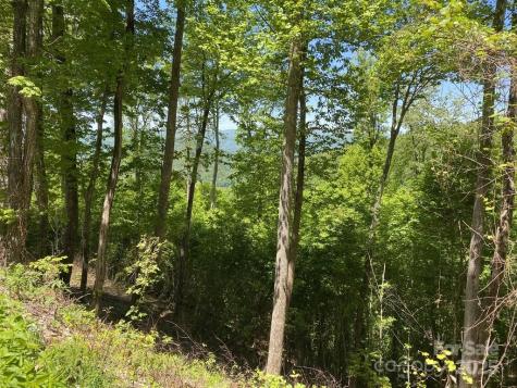 Lot 22 Spring Rock Road Burnsville NC 28714