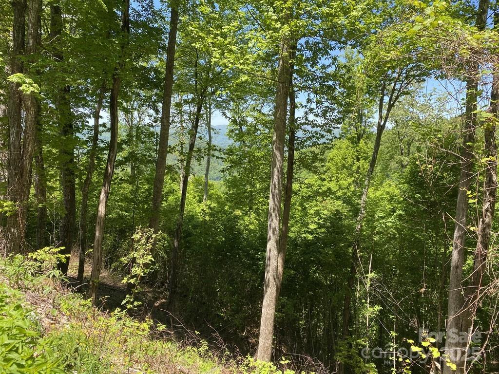 Lot 22 Spring Rock Road Burnsville NC 28714