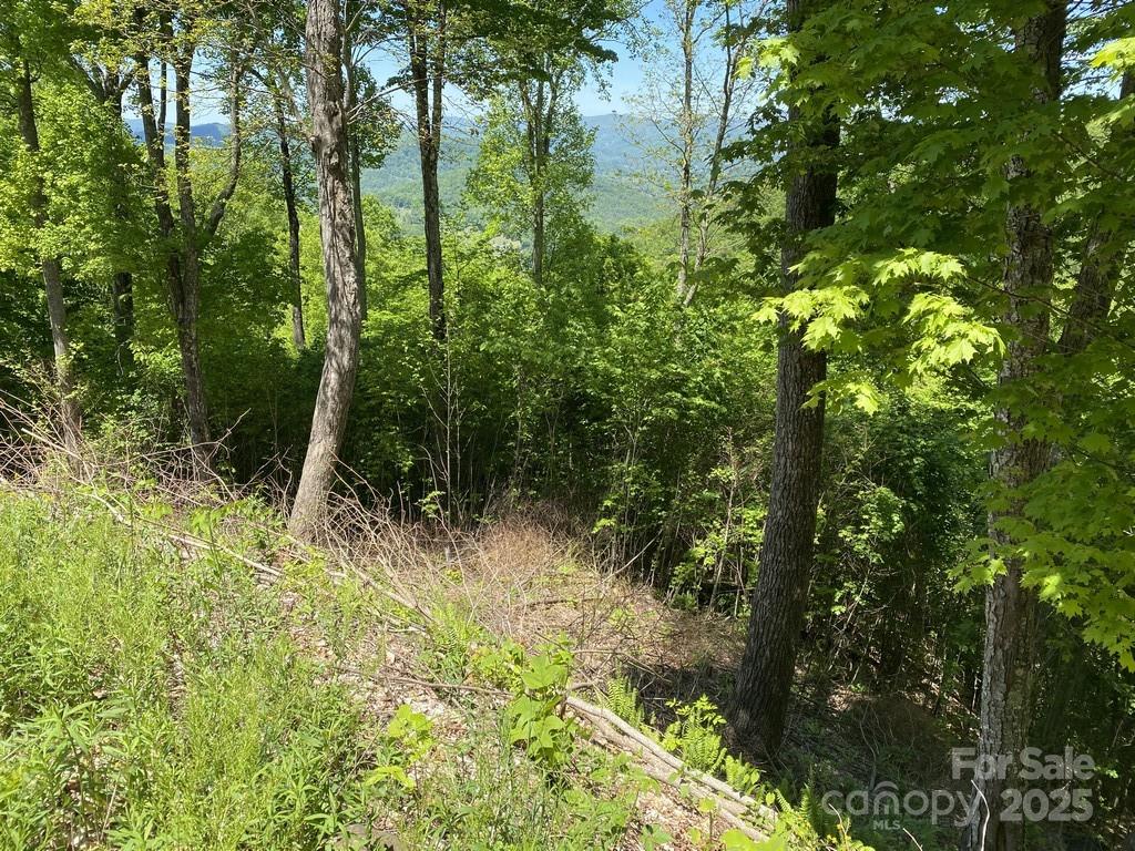 Lot 22 Spring Rock Road Burnsville NC 28714