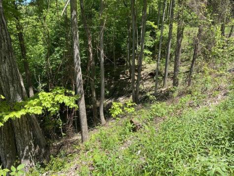 Lot 22 Spring Rock Road Burnsville NC 28714