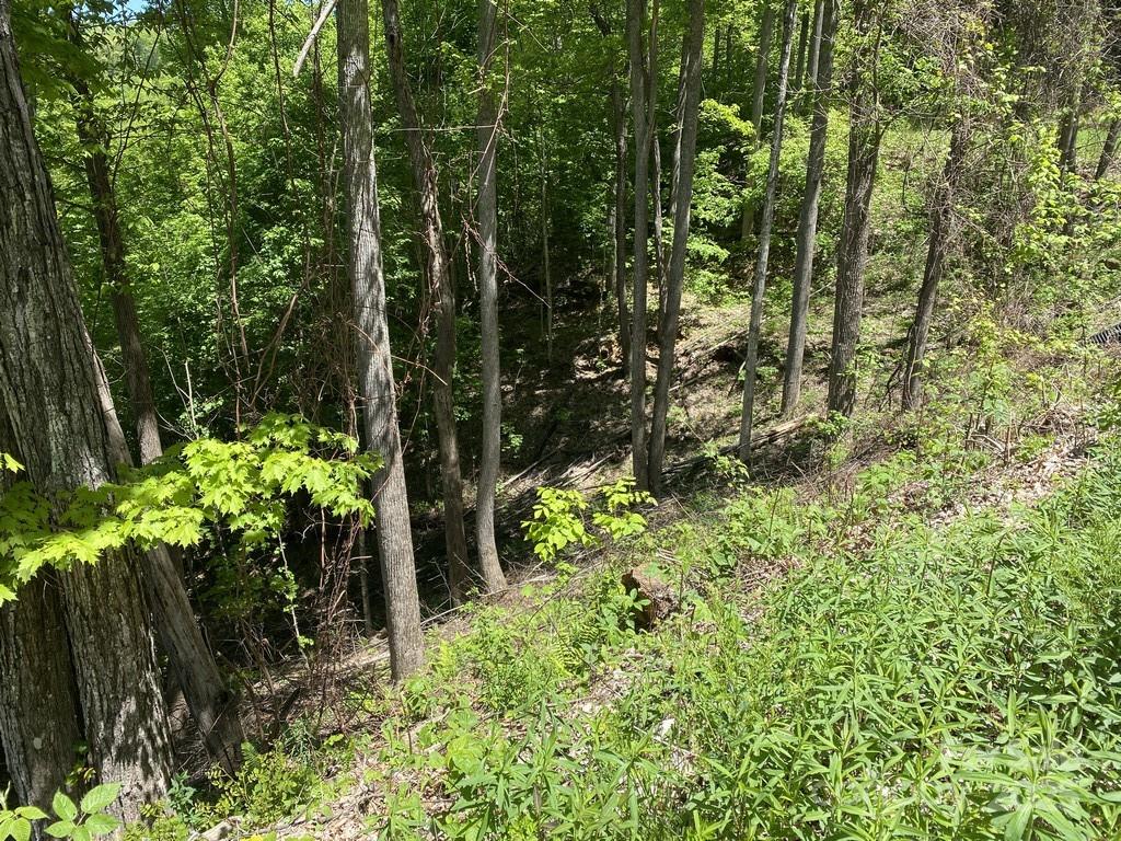 Lot 22 Spring Rock Road Burnsville NC 28714