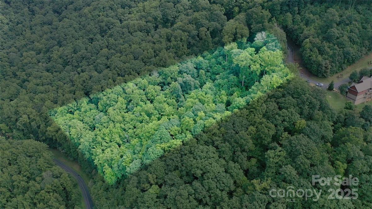 Lot 22 Spring Rock Road Burnsville NC 28714