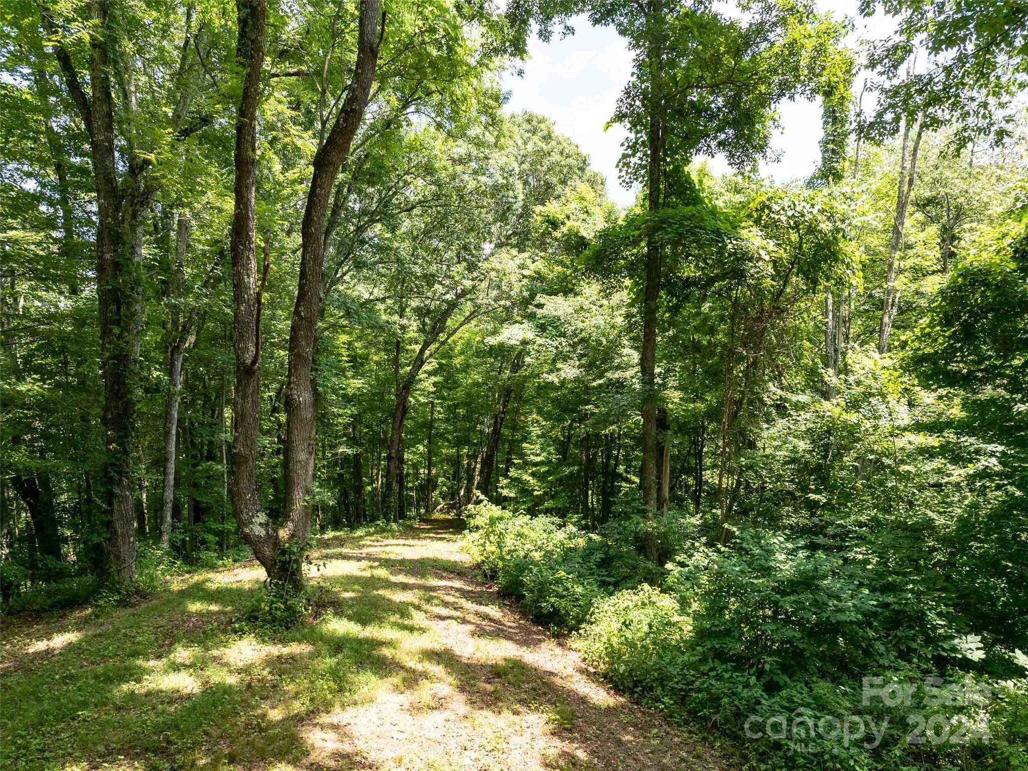 00 Hardy Branch Trail Waynesville NC 28785