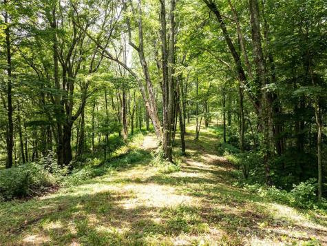 00 Hardy Branch Trail Waynesville NC 28785