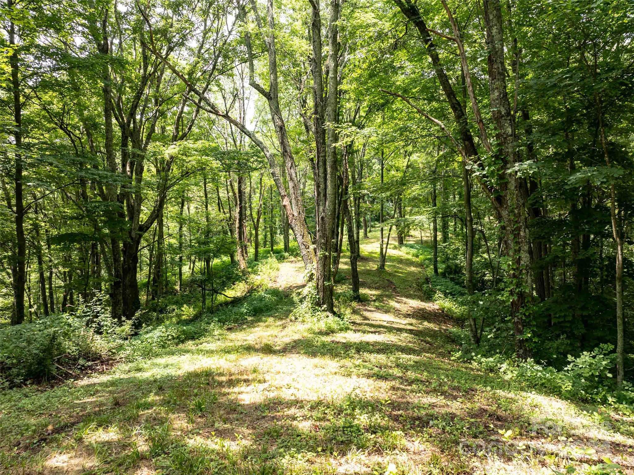 00 Hardy Branch Trail Waynesville NC 28785