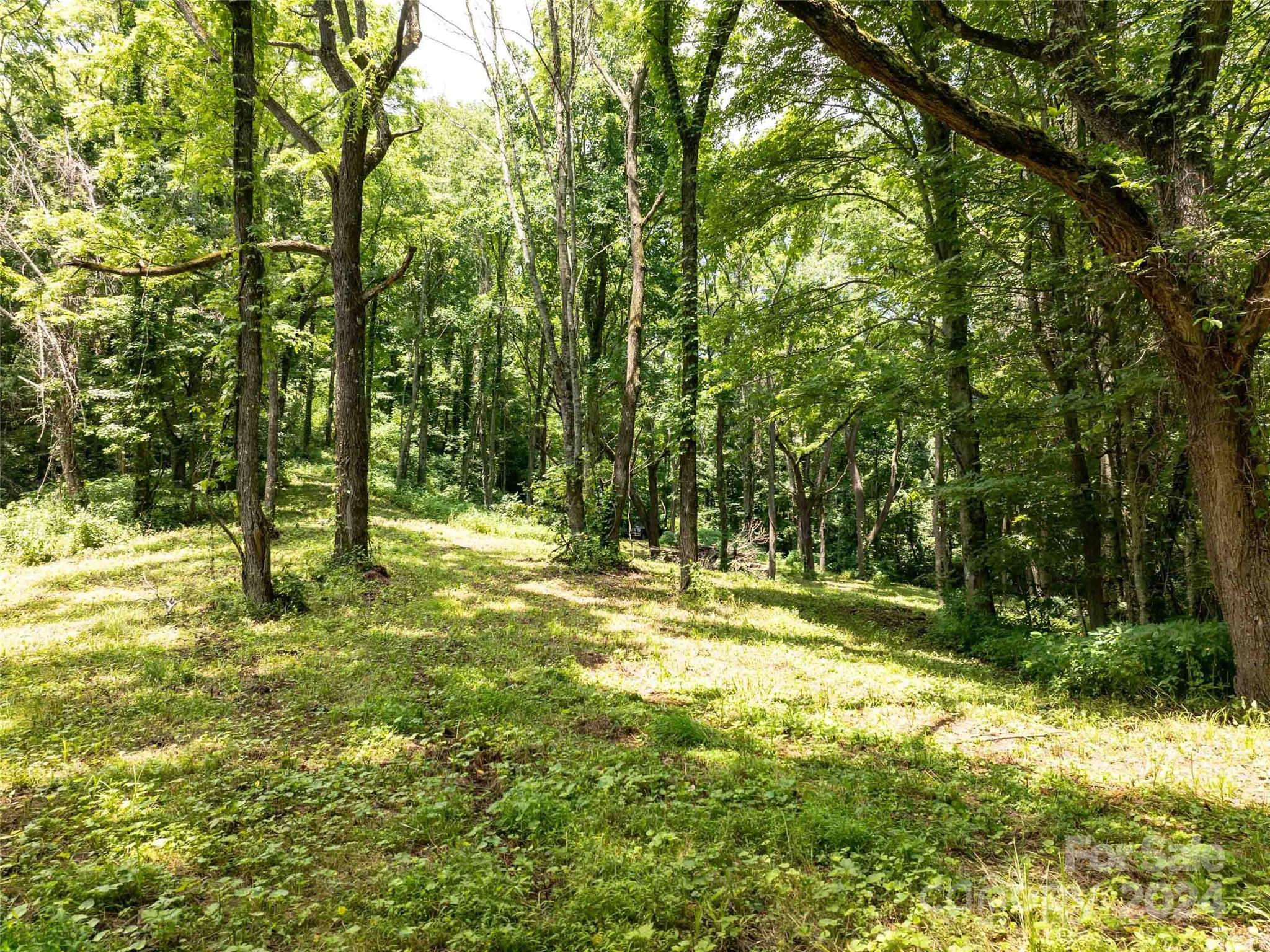 00 Hardy Branch Trail Waynesville NC 28785