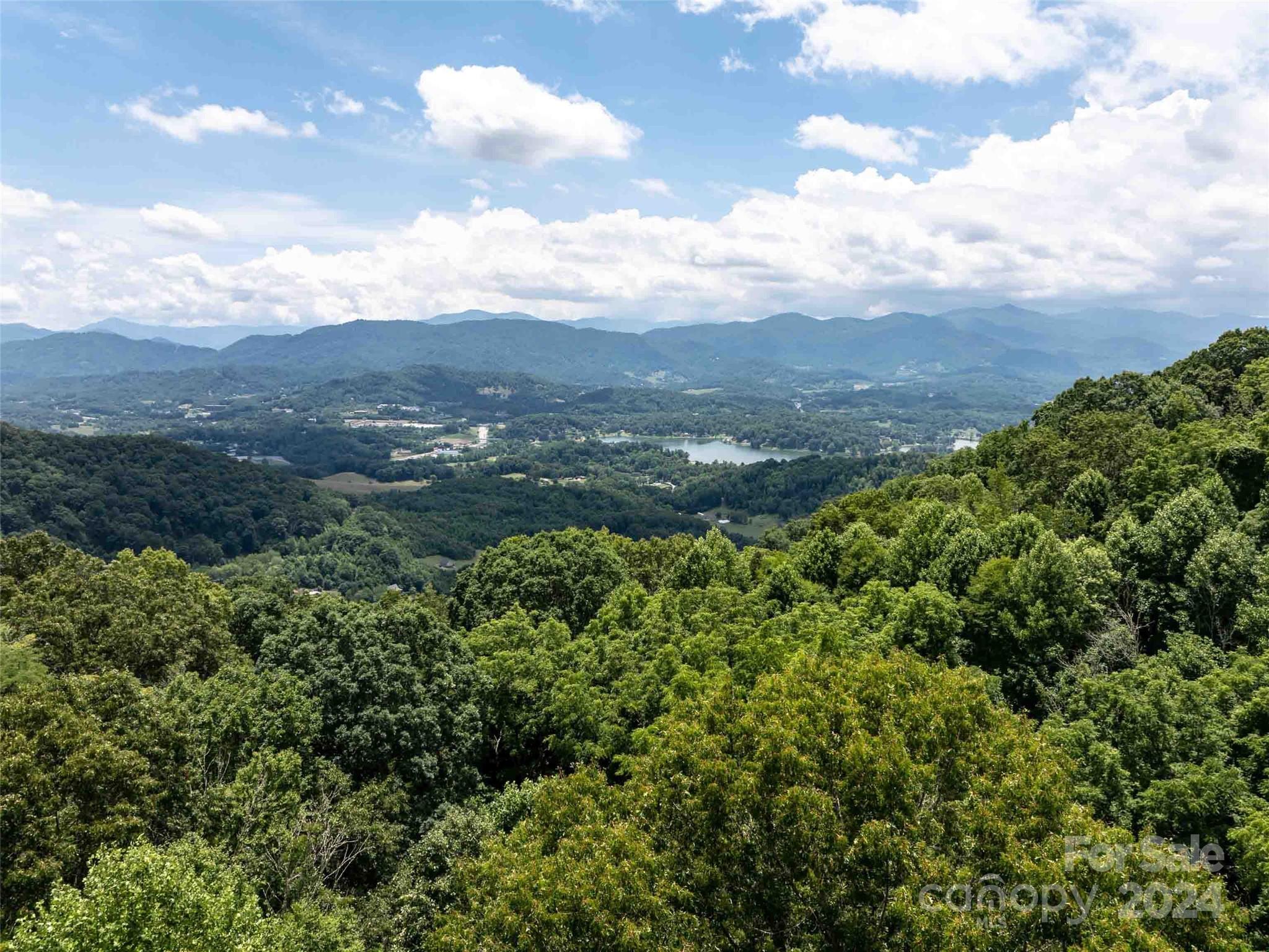 00 Hardy Branch Trail Waynesville NC 28785