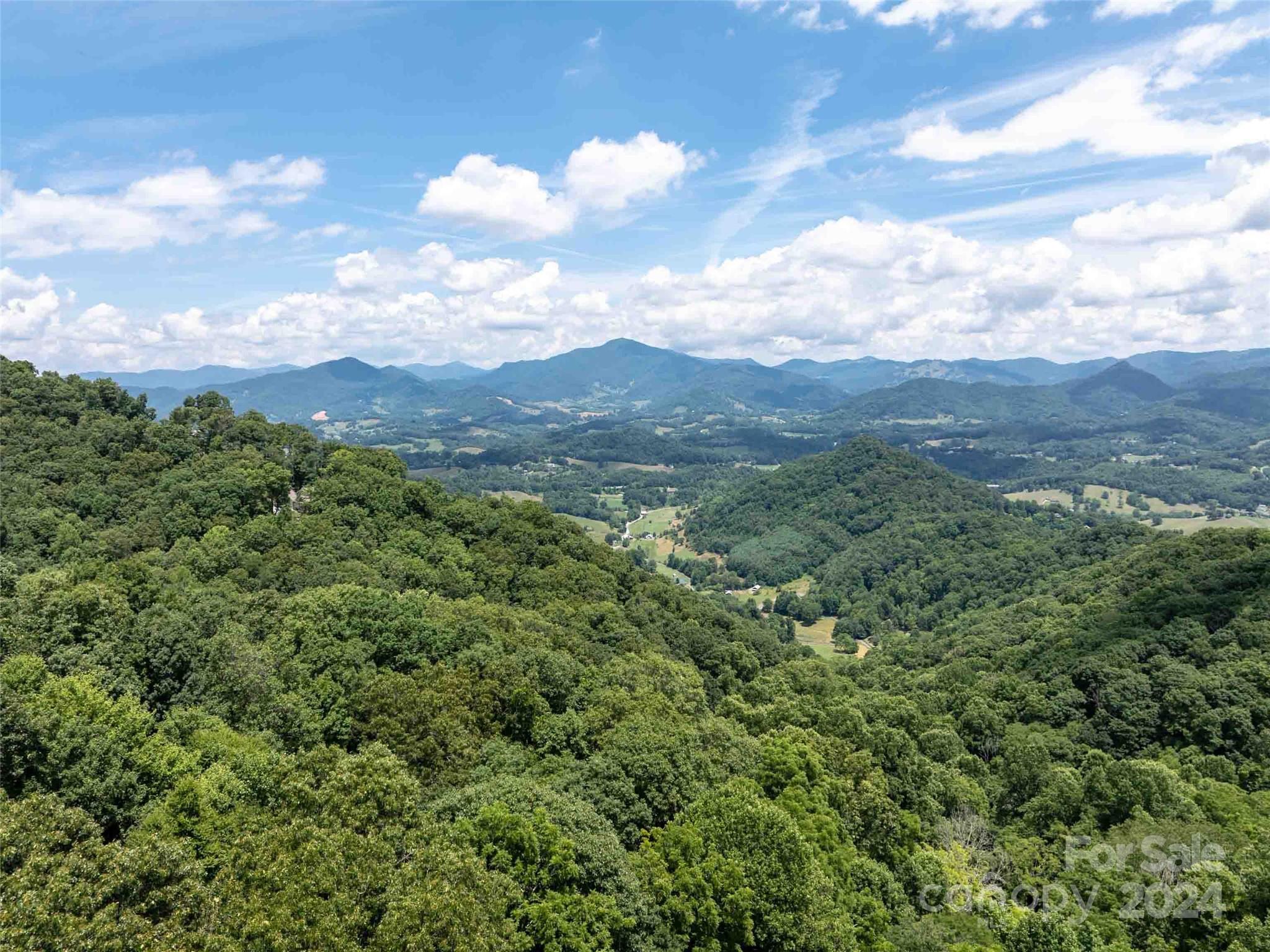 00 Hardy Branch Trail Waynesville NC 28785