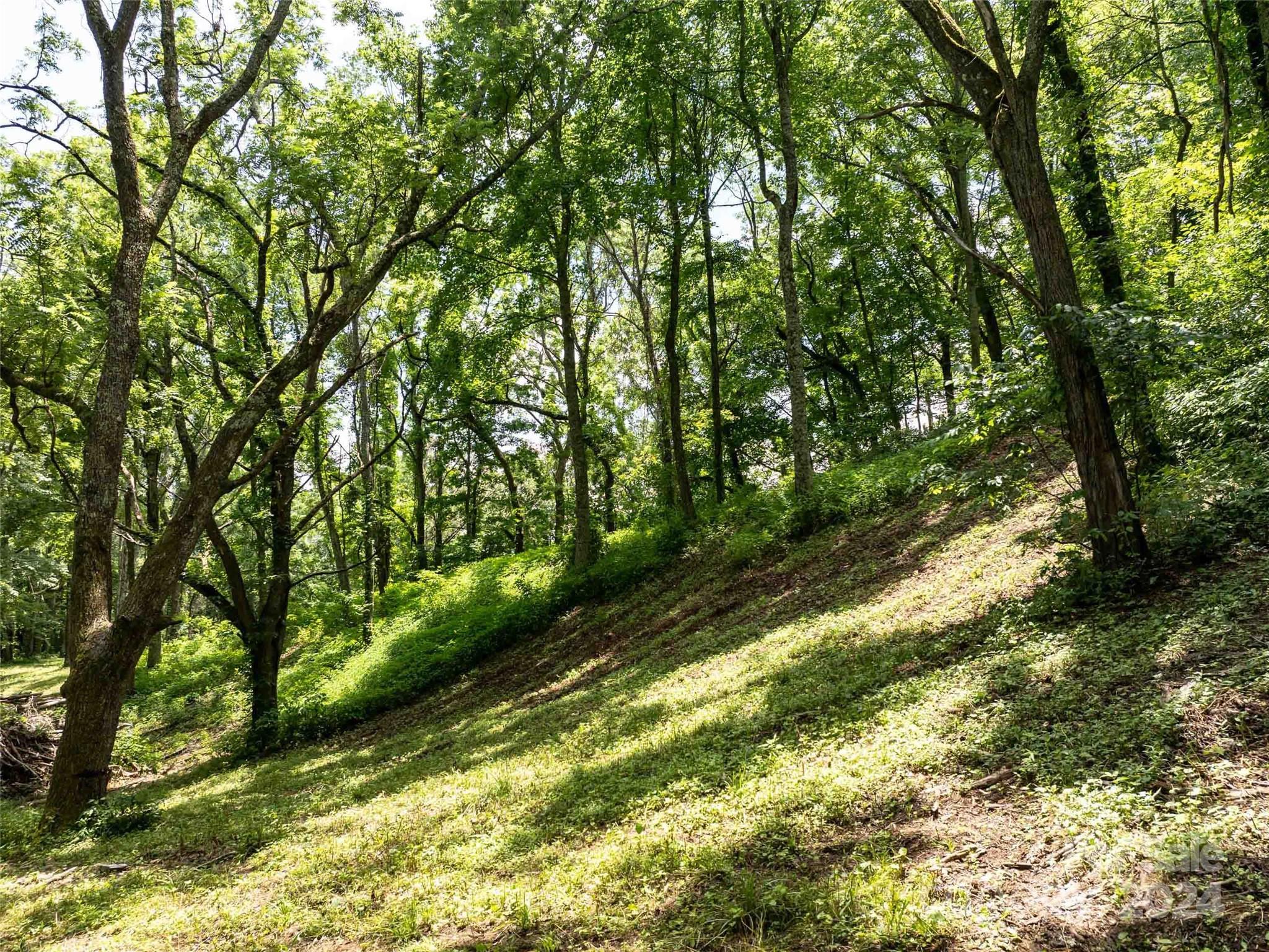 00 Hardy Branch Trail Waynesville NC 28785