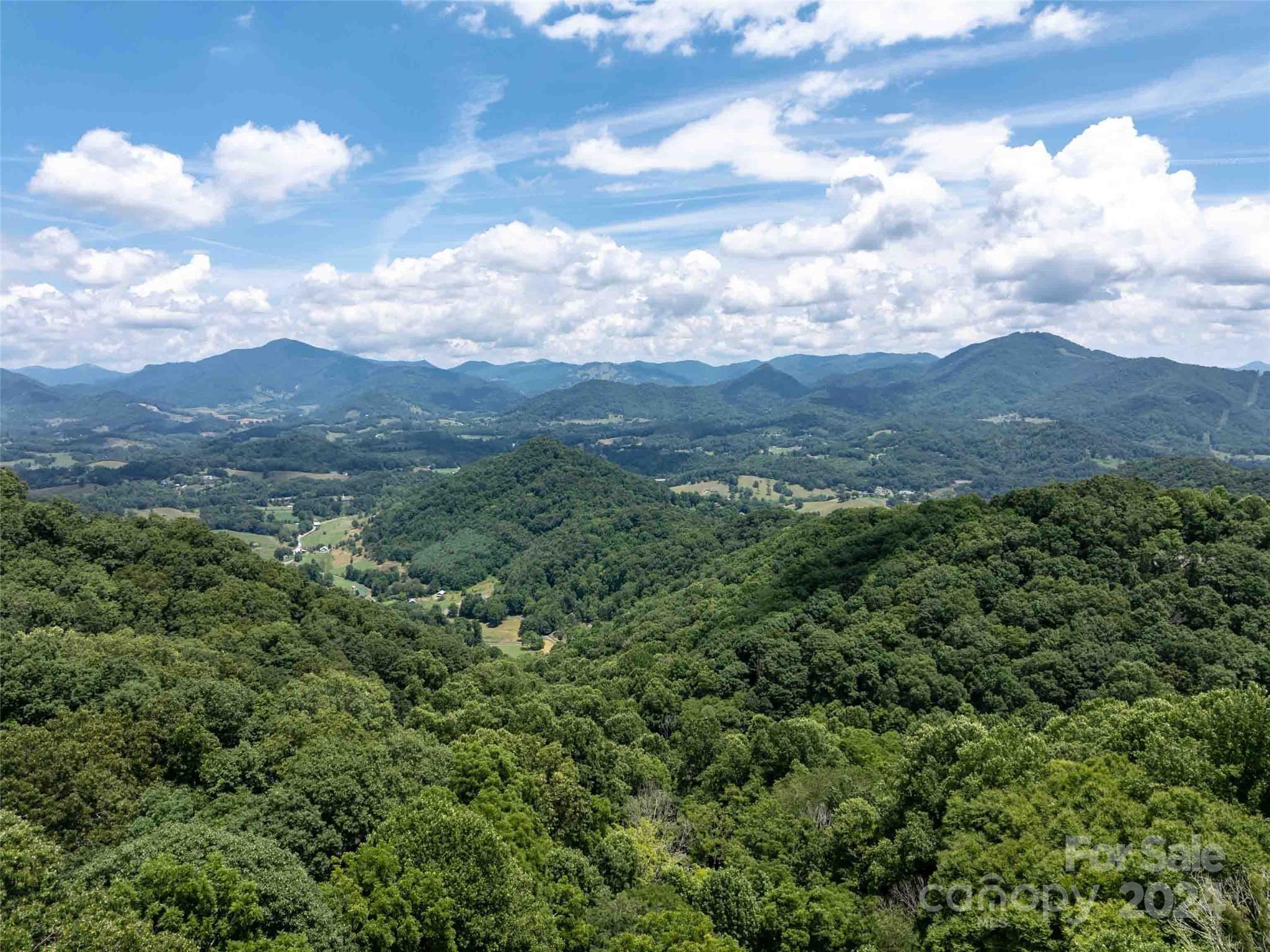 00 Hardy Branch Trail Waynesville NC 28785